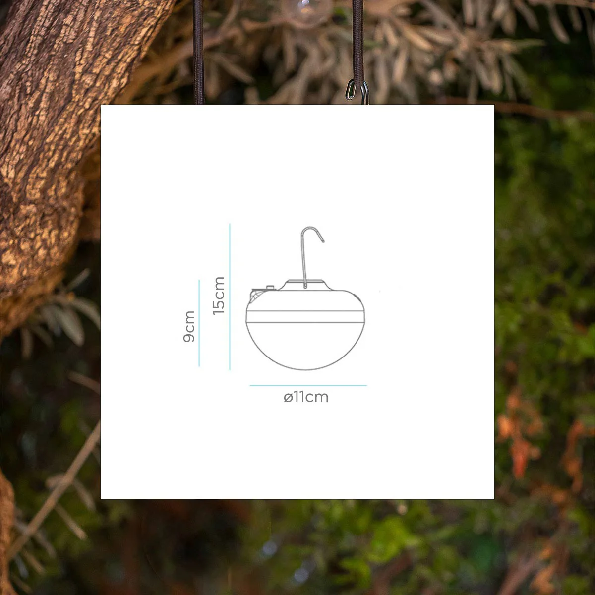 Image du produit 13