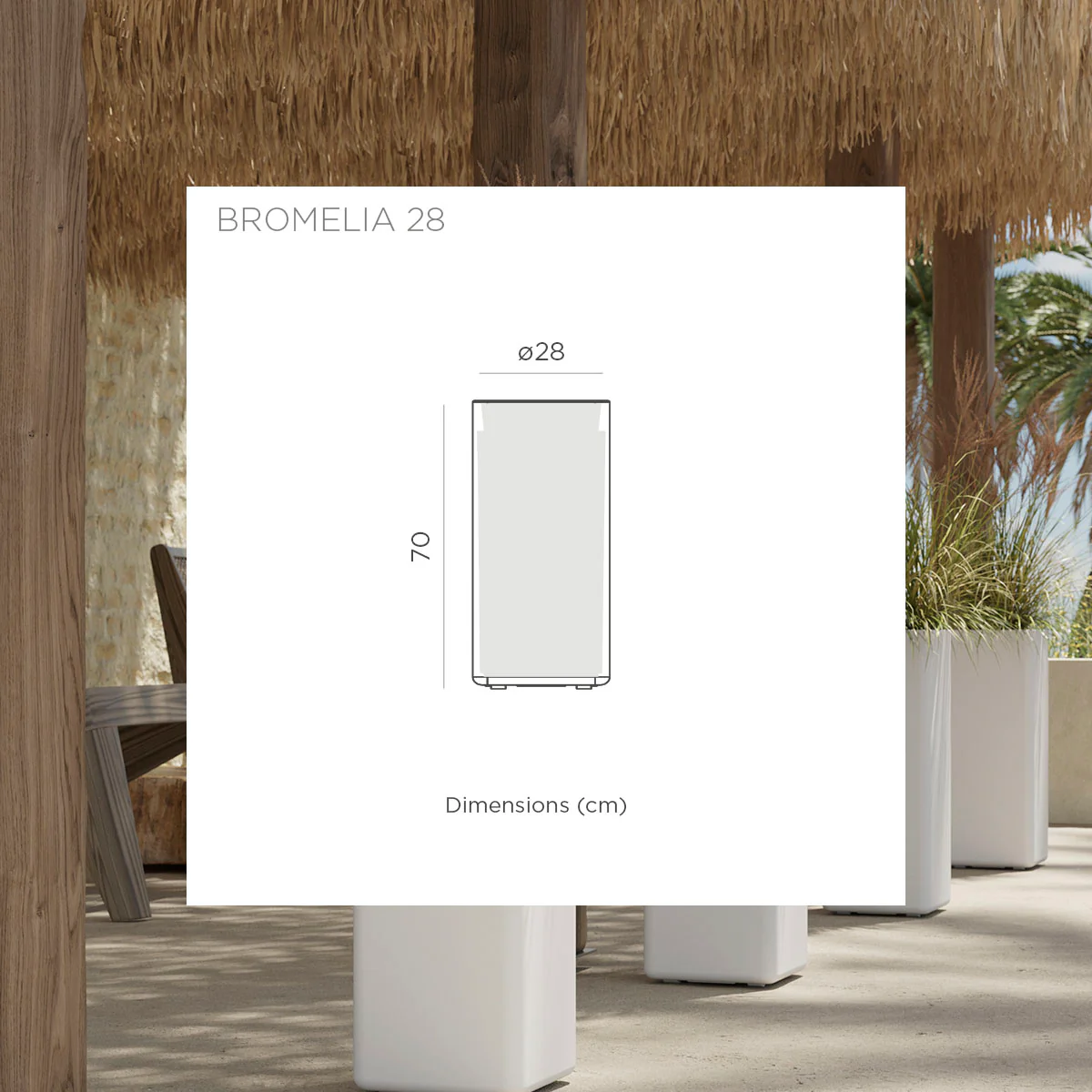 Image du produit 14