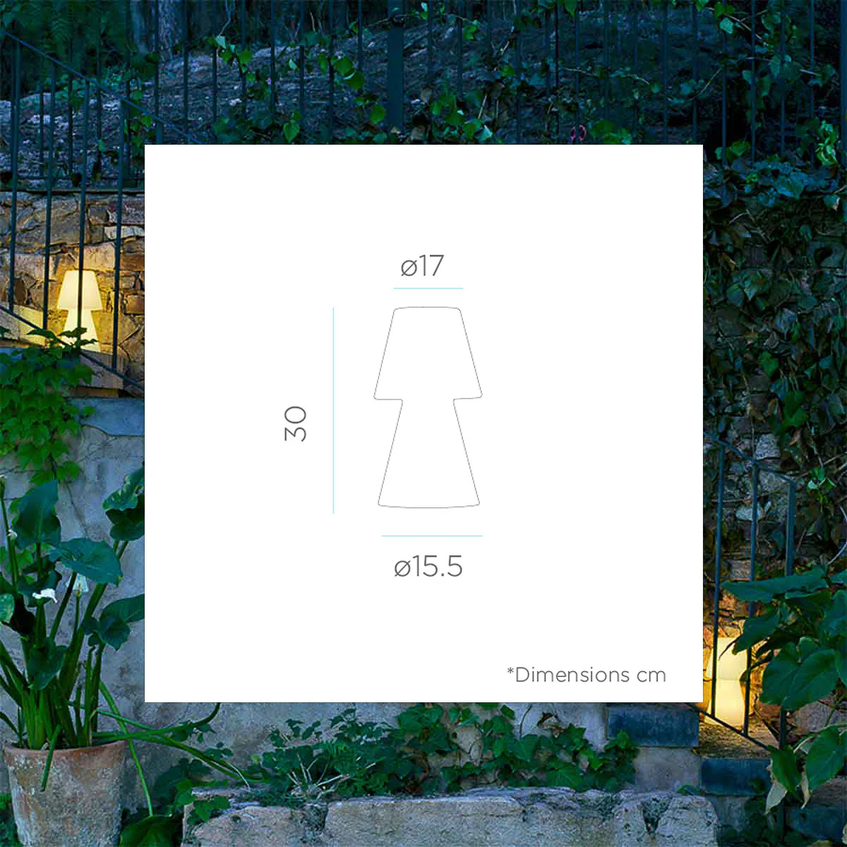 Image du produit 12