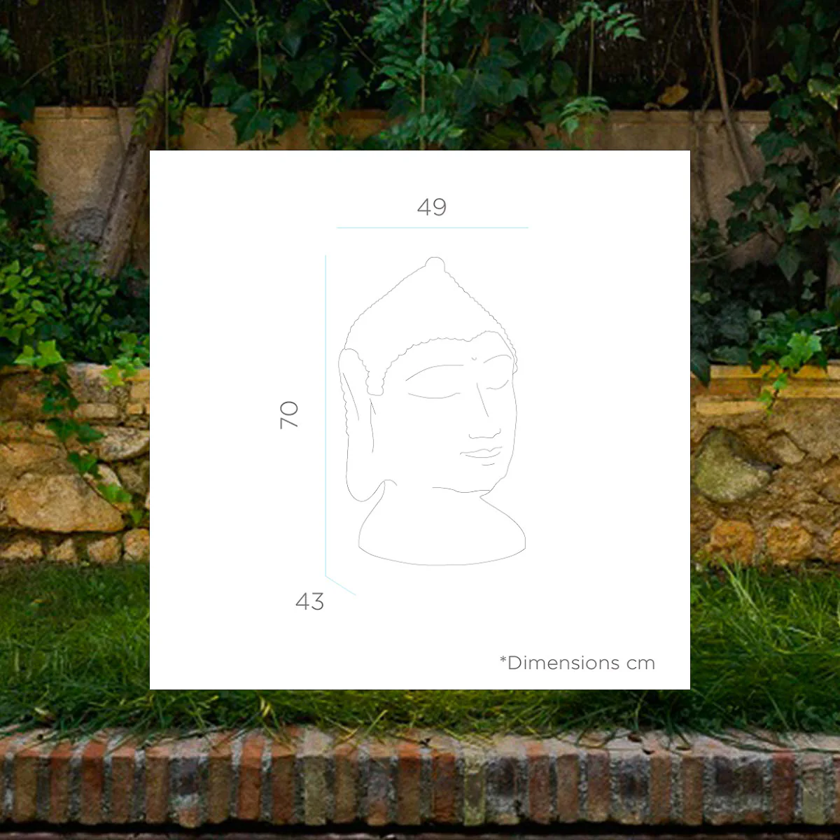 Image du produit 13