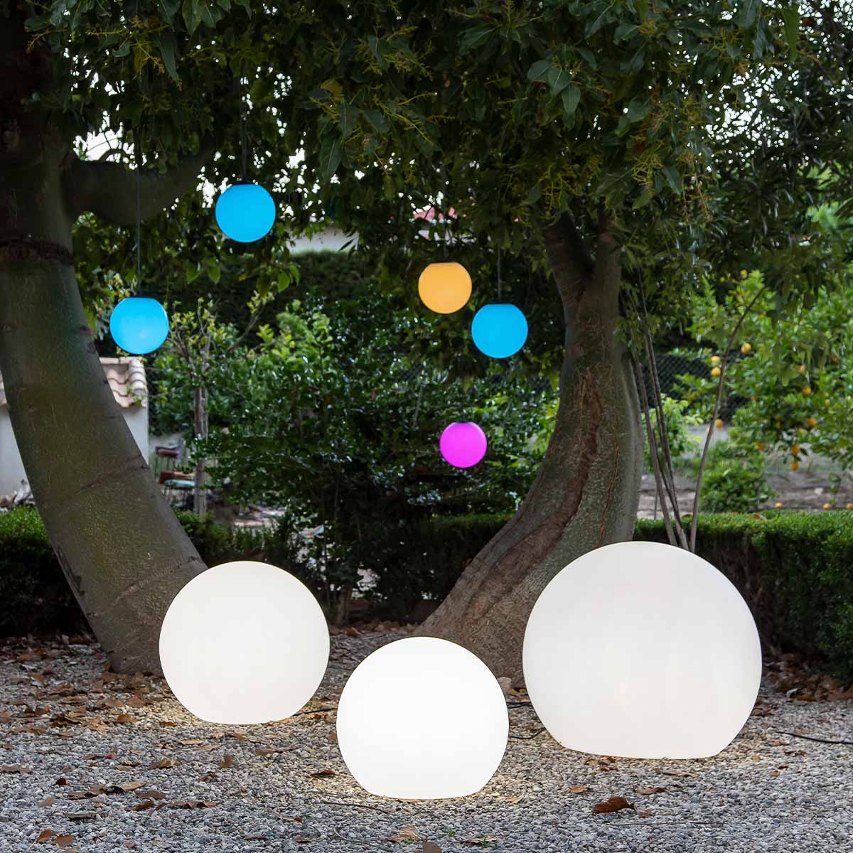 Image du produit 6