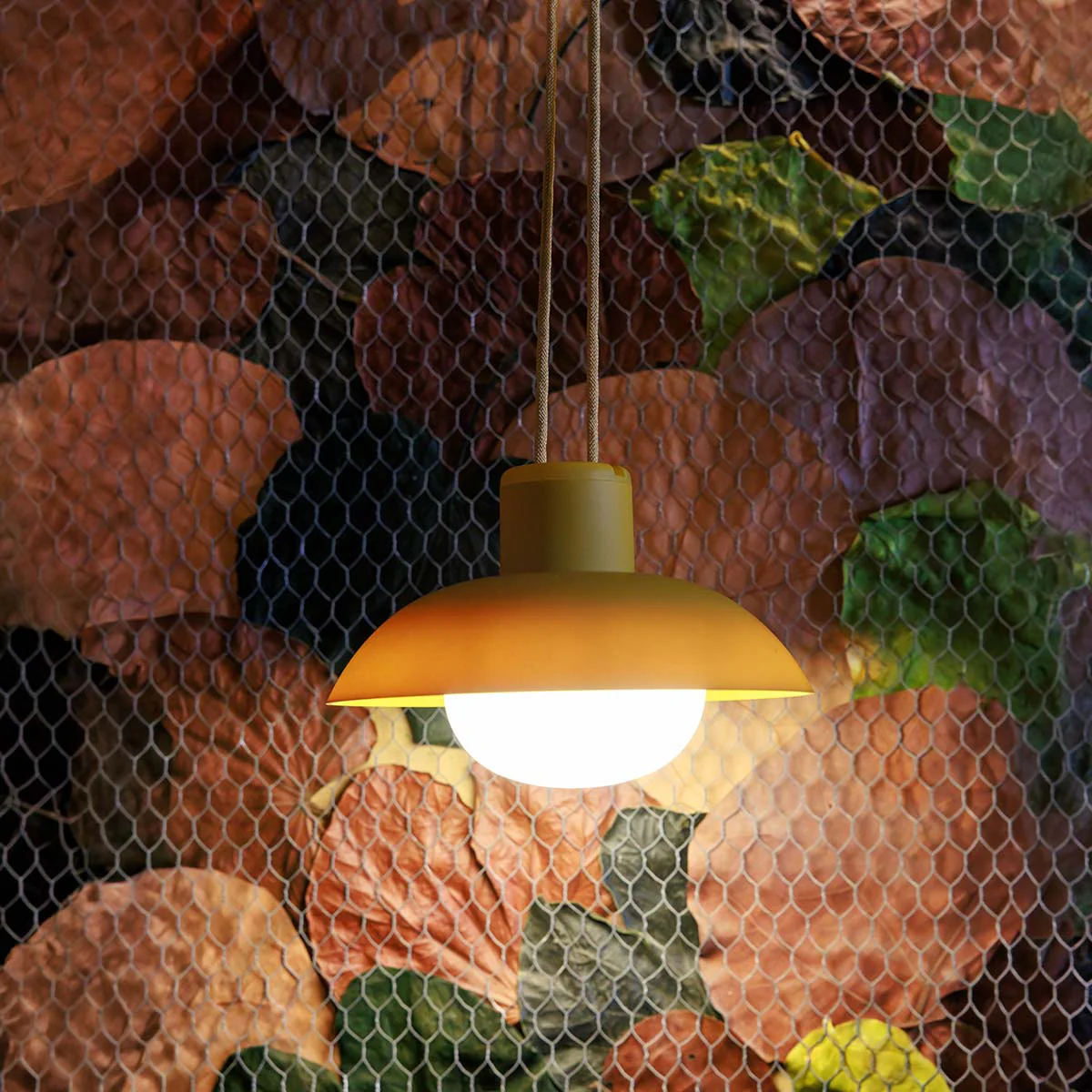Image du produit 10
