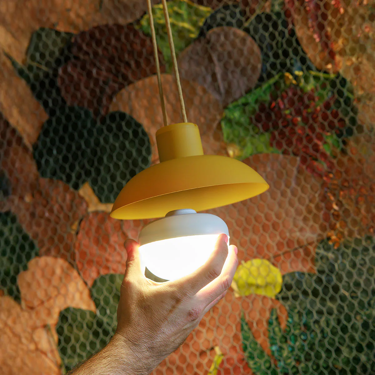 Image du produit 8