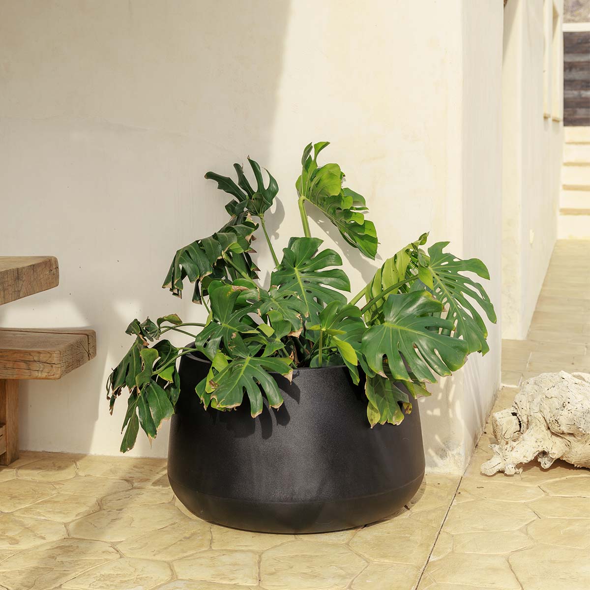 Image du produit 12