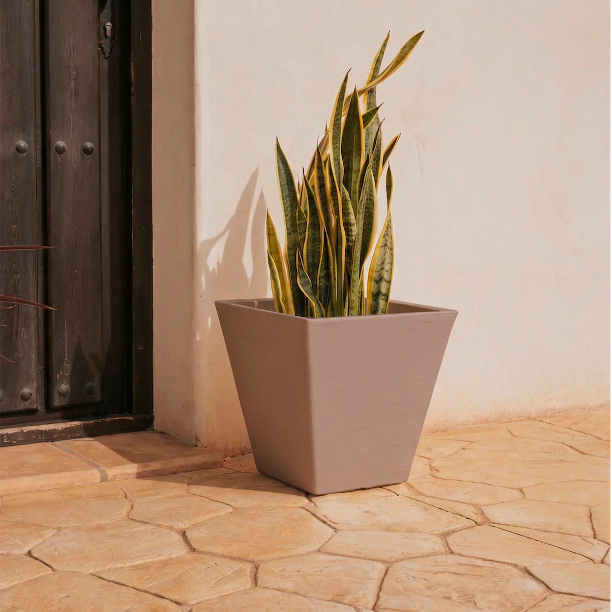 Image du produit 12