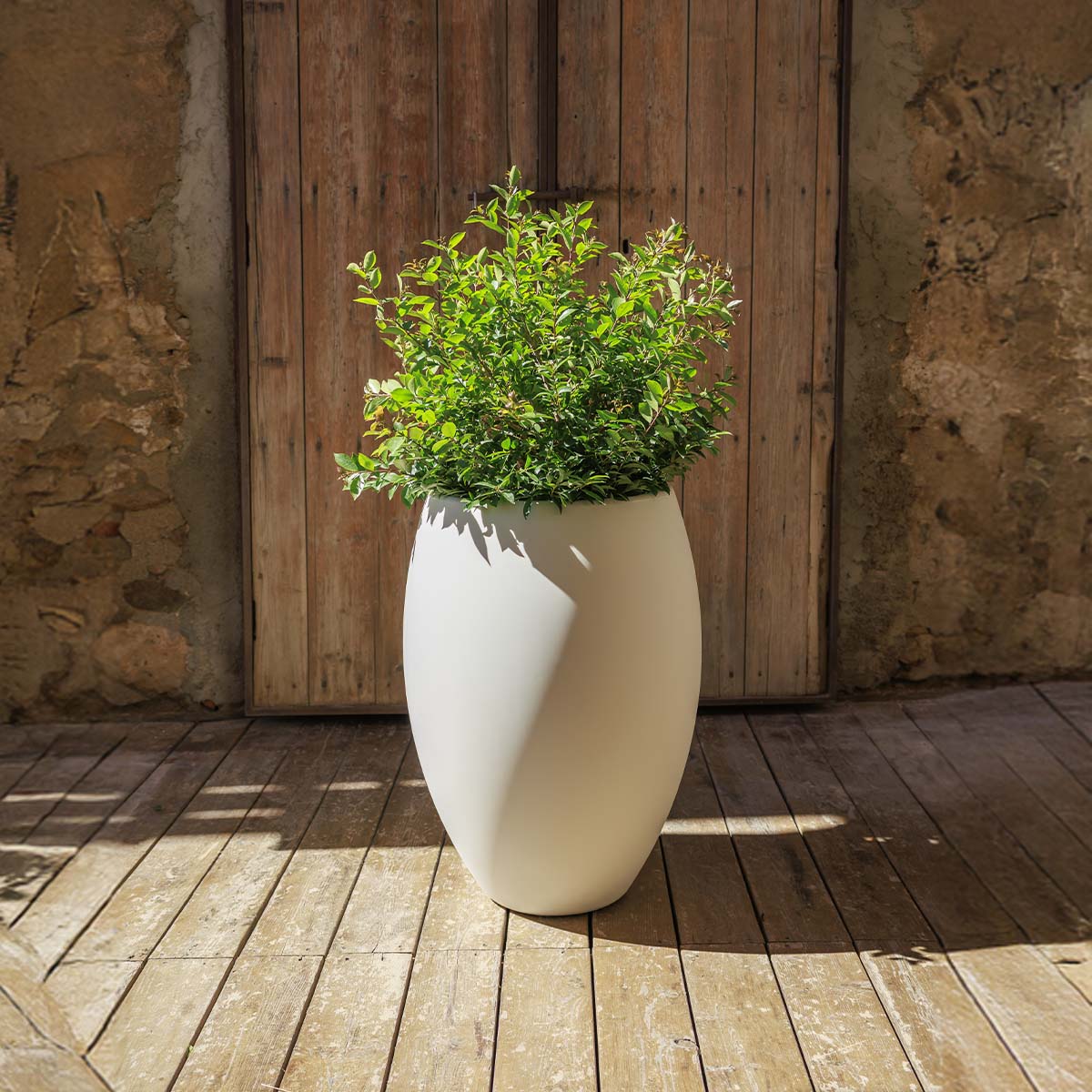 Image du produit 16