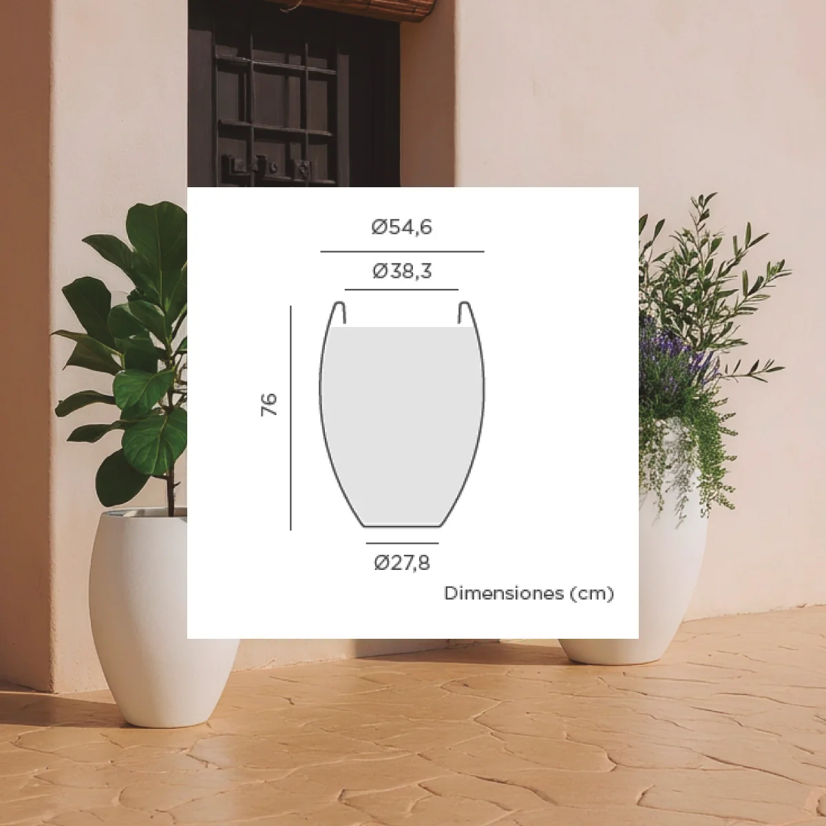 Image du produit 13