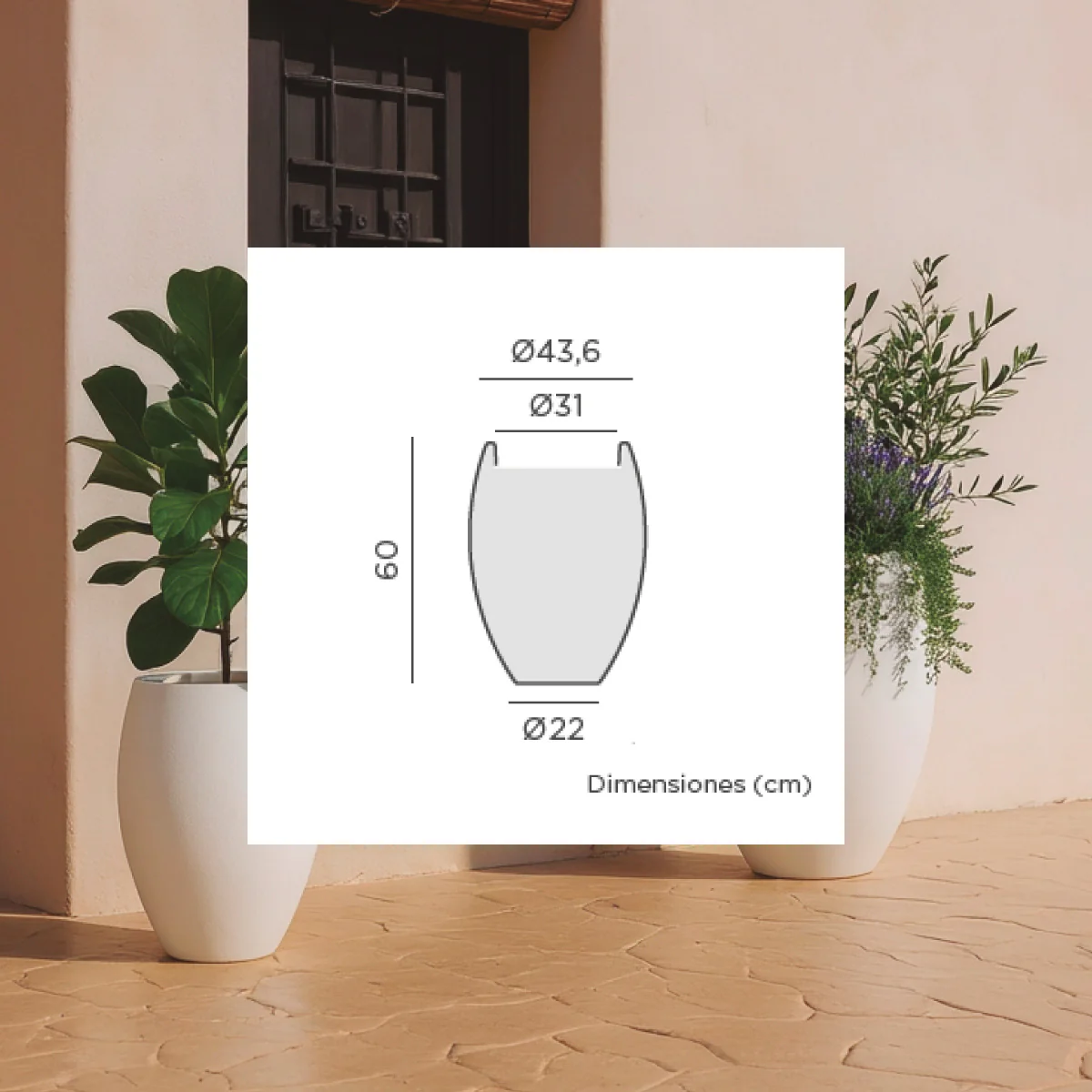 Image du produit 14